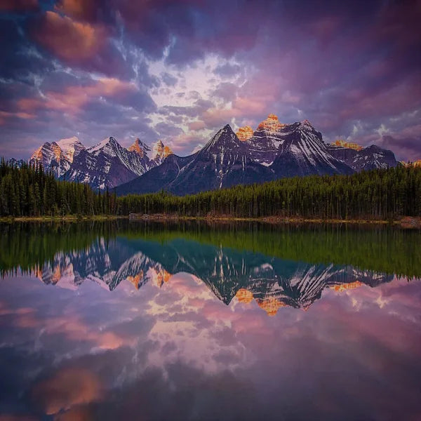 Stained Glass Window Film Frosted Glass Sticker Forest Opaque,Customized Print Mountain For Bathroom Door Office Home Decor