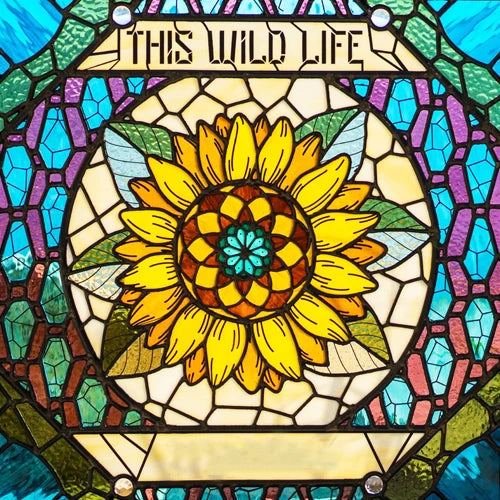 Window Film Frosted Stained Glass Films Static Cling Privacy Films Sun Moon Door Sticker Kitchen Bathroom Home Decor Customized