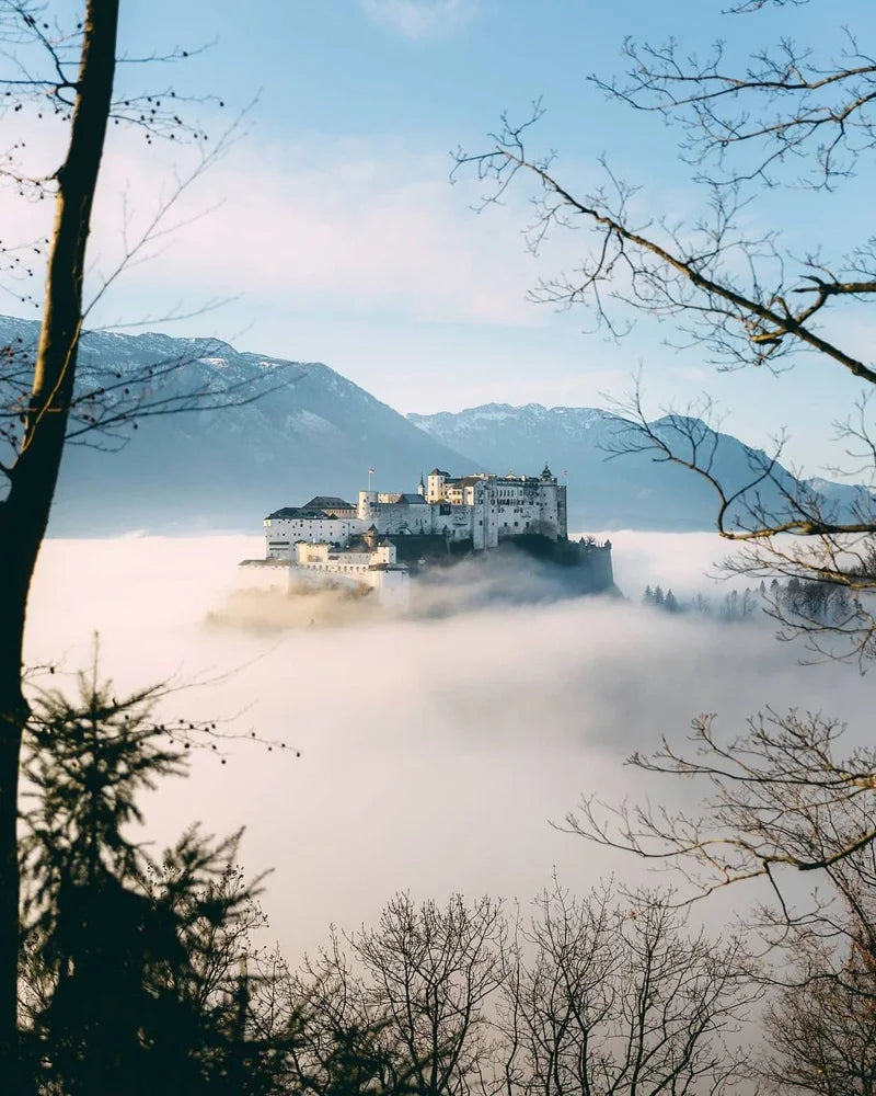 Forest Pattern Glass Films Window Sticker Static Cling Frosted Home Decor Private Tint-Film For Door Window Cabinet Wardrobe