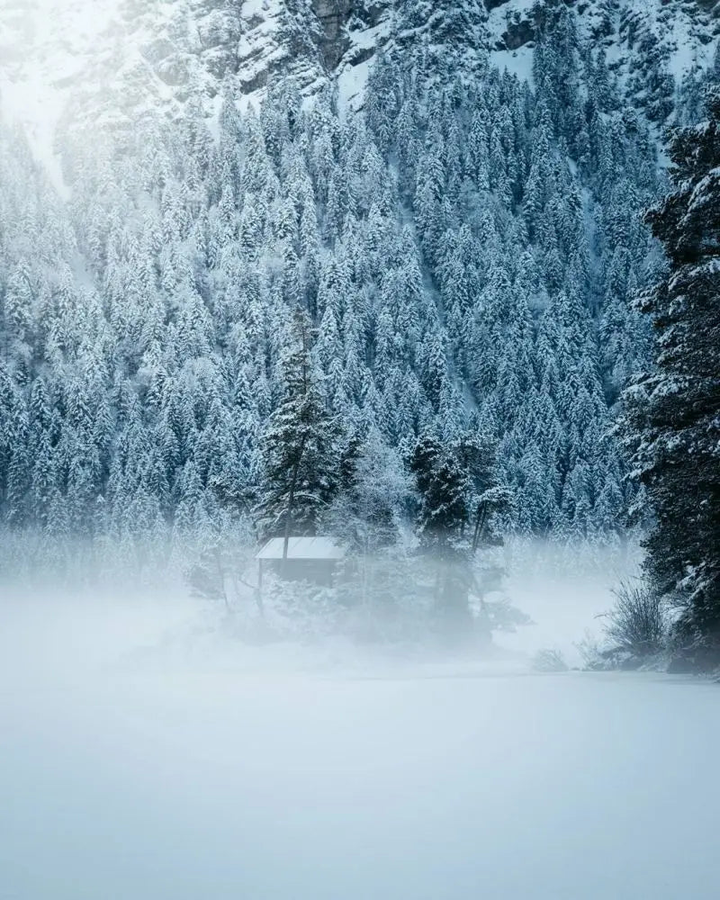 Forest Pattern Glass Films Window Sticker Static Cling Frosted Home Decor Private Tint-Film For Door Window Cabinet Wardrobe