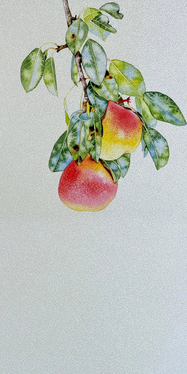 Frosted Stained Glass Window Film, Static Cling, Privacy Films, Flower Door Sticker, Kitchen, Office, Home Decor, Customized