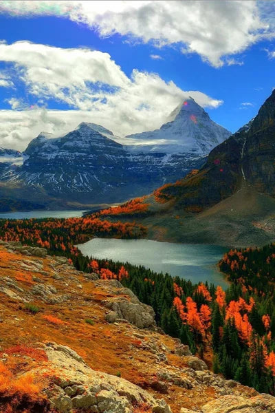 Frosted Stained Glass Window Film, Customized,Scenery,Tree,Waterfall,Static Cling Sticker,Home Decor