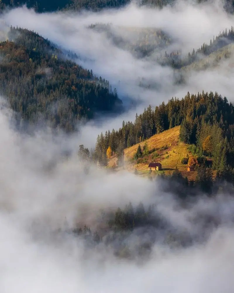 Forest Pattern Glass Films Window Sticker Static Cling Frosted Home Decor Private Tint-Film For Door Window Cabinet Wardrobe