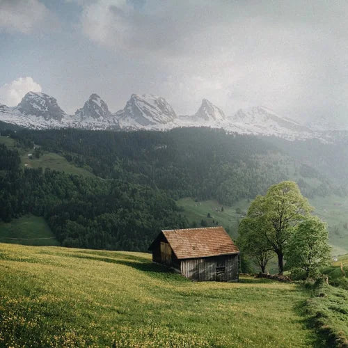 Custom Size Stained Glass Films,Privacy Static Cling,Print Castle, Sailboat, House Door Sticker,Office, Home Decor