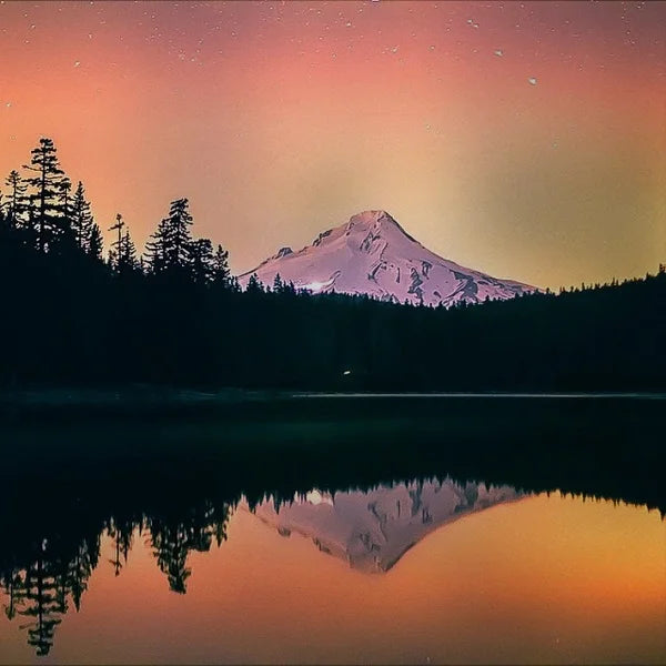 Stained Glass Window Film Frosted Glass Sticker Forest Opaque,Customized Print Mountain For Bathroom Door Office Home Decor