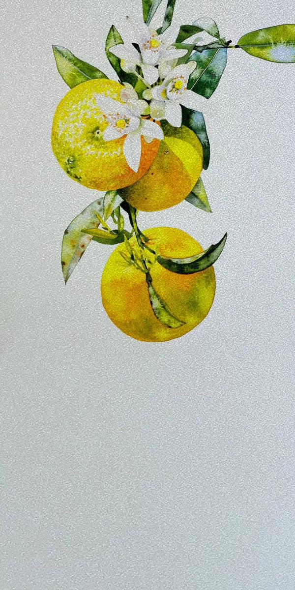 Frosted Stained Glass Window Film, Static Cling, Privacy Films, Flower Door Sticker, Kitchen, Office, Home Decor, Customized