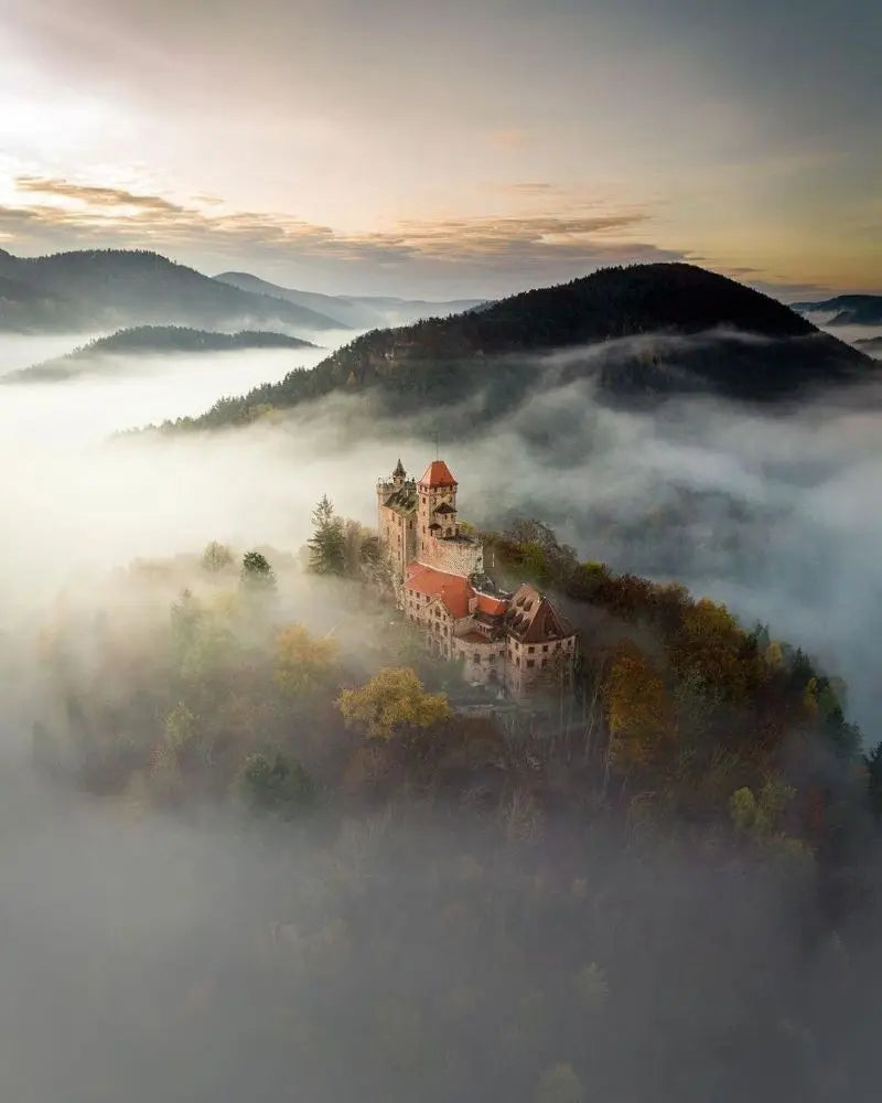 Forest Pattern Glass Films Window Sticker Static Cling Frosted Home Decor Private Tint-Film For Door Window Cabinet Wardrobe