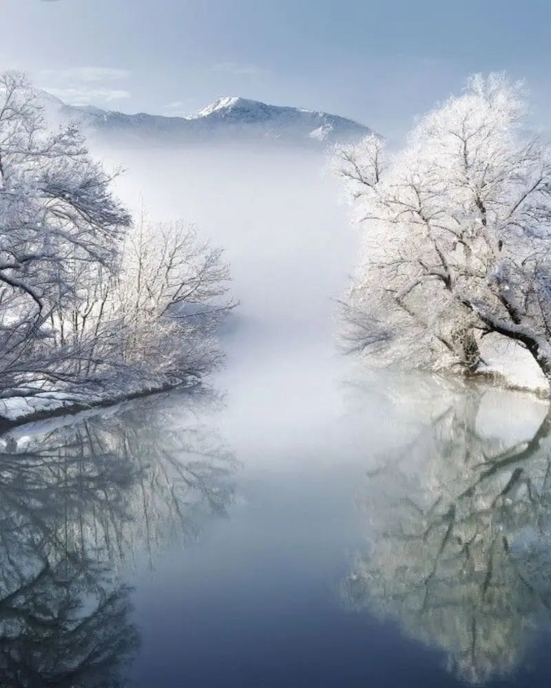 Forest Pattern Glass Films Window Sticker Static Cling Frosted Home Decor Private Tint-Film For Door Window Cabinet Wardrobe