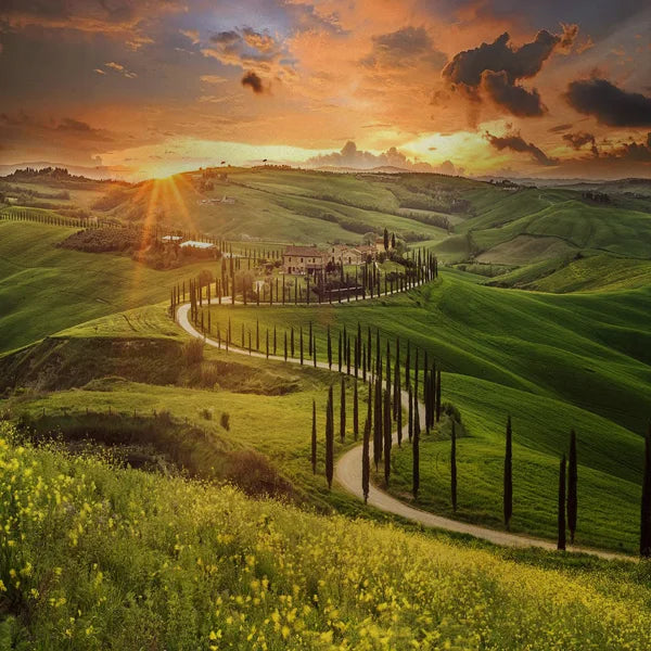 Stained Glass Window Film Frosted Glass Sticker Forest Opaque,Customized Print Mountain For Bathroom Door Office Home Decor