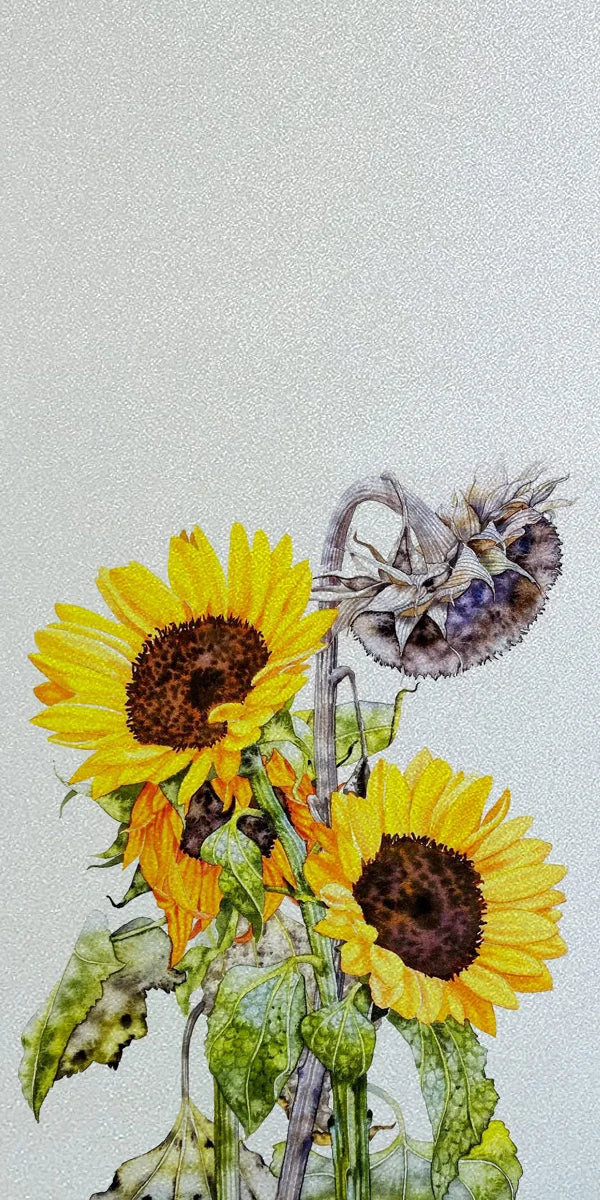 Frosted Stained Glass Window Film, Static Cling, Privacy Films, Flower Door Sticker, Kitchen, Office, Home Decor, Customized