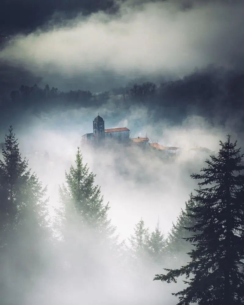 Forest Pattern Glass Films Window Sticker Static Cling Frosted Home Decor Private Tint-Film For Door Window Cabinet Wardrobe