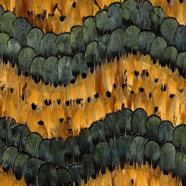 Window Film Frosted Stained Glass Films,Customized Art Decor Design Opaque Static Cling Sticker,Home Decor Foil Window Treatment