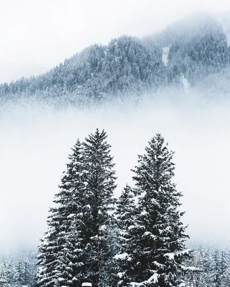 Forest Pattern Glass Films Window Sticker Static Cling Frosted Home Decor Private Tint-Film For Door Window Cabinet Wardrobe