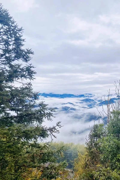 Stained Glass Window Glass Film Frosted Sticker Static Cling,Custom made to fit any Window Size/Shape,Print with Your Photo