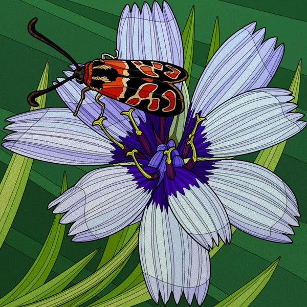 Window Film Frosted Stained Glass Films,Customized Rose Flower Ladybird Static Cling Sticker,Home Decor Foil Window Treatment