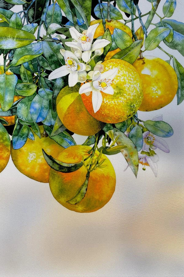 Frosted Stained Glass Window Film, Customized Decor Design, Flower Static Cling Sticker,Home Decor Foil, Treatment