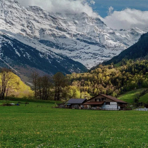 Custom Size Stained Glass Films,Privacy Static Cling,Print Castle, Sailboat, House Door Sticker,Office, Home Decor