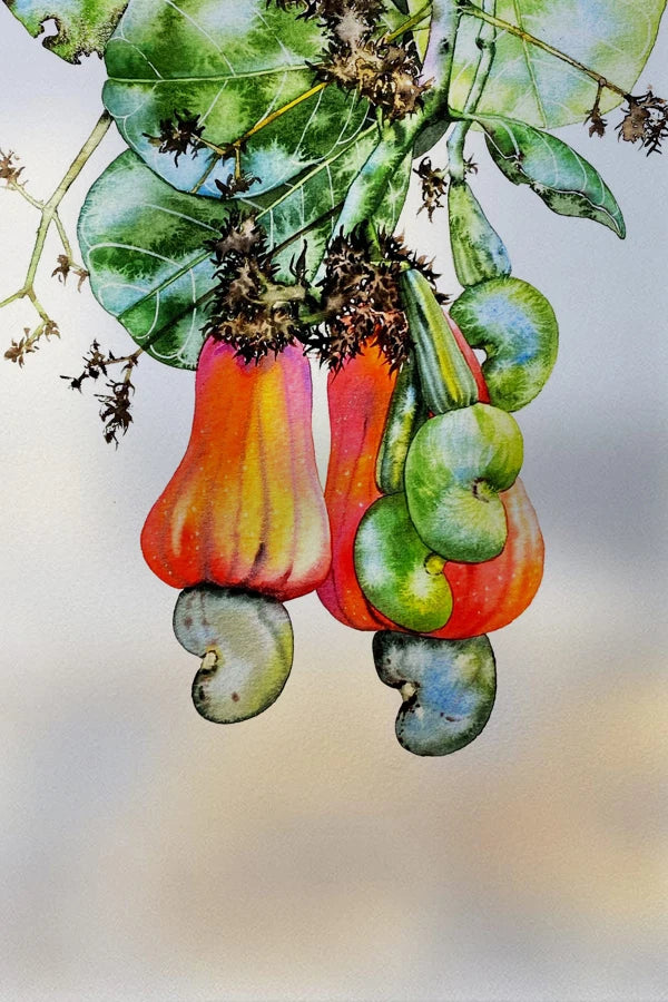 Frosted Stained Glass Window Film, Customized Decor Design, Flower Static Cling Sticker,Home Decor Foil, Treatment