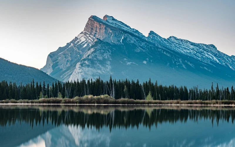 Window Film Stained Glass Stickers,Custom size Static Cling Frosted Privacy, Landscape,Tree Print For Transom Window Glass Home