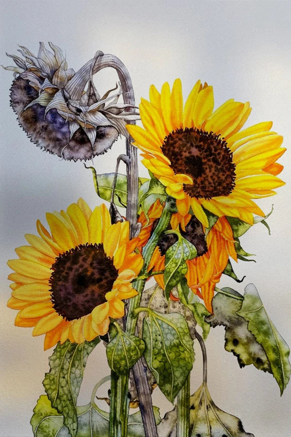 Frosted Stained Glass Window Film, Customized Decor Design, Flower Static Cling Sticker,Home Decor Foil, Treatment