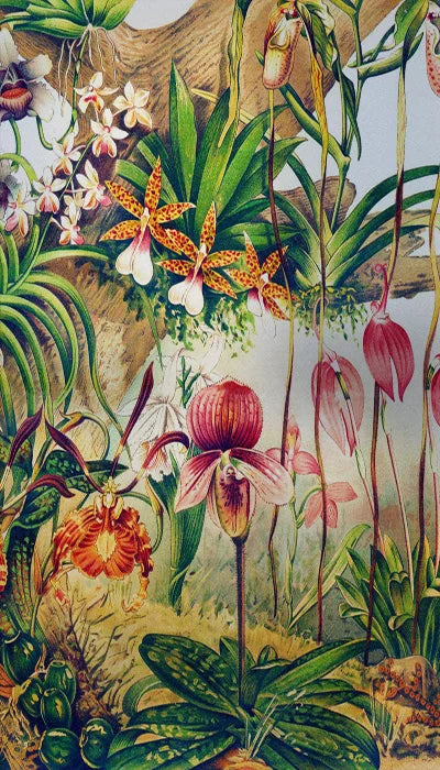 Window Film Frosted Stained Glass Films Customized Art Decor Design Flower Static Cling Sticker,Home Decor Foil Window Treatment