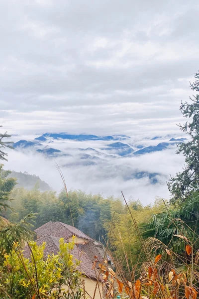 Stained Glass Window Glass Film Frosted Sticker Static Cling,Custom made to fit any Window Size/Shape,Print with Your Photo