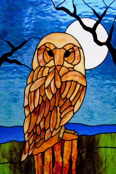 Window Film Stained Glass Stickers,Custom size Static Cling,Frosted Privacy Print Bird,Peacock,Heron,Owl,For Window Home Decor