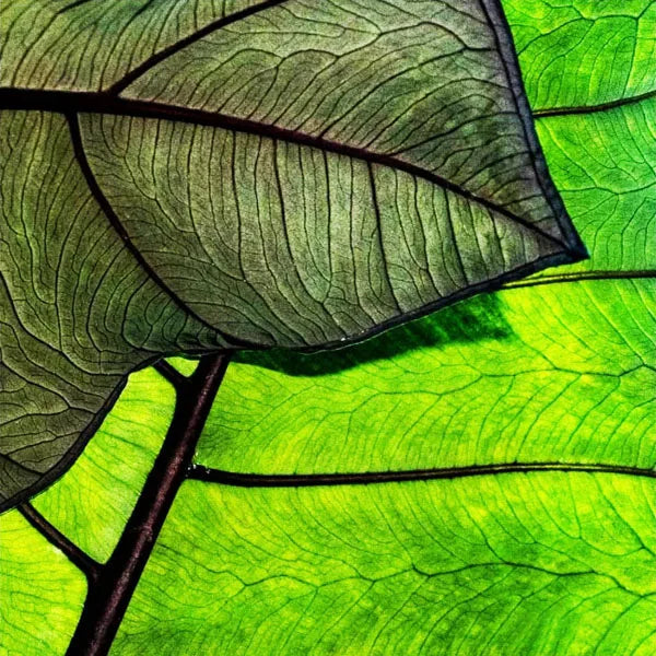 Custom Size Stained Glass Film,3D Frosted Static Cling Window Films,Decor Foil Stickers, Window Treatment for Square Glass Door