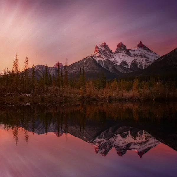 Stained Glass Window Film Frosted Glass Sticker Forest Opaque,Customized Print Mountain For Bathroom Door Office Home Decor