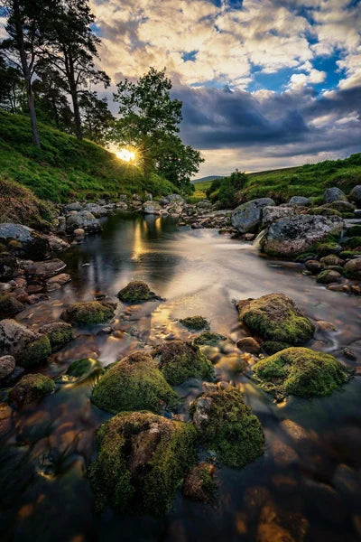 Frosted Stained Glass Window Film, Customized,Scenery,Tree,Waterfall,Static Cling Sticker,Home Decor