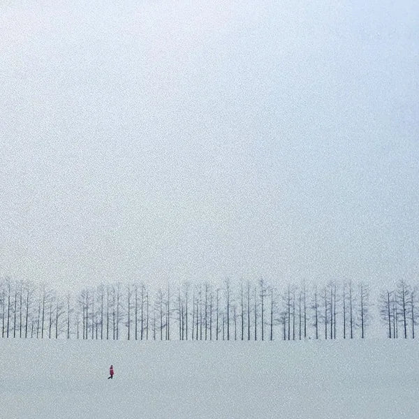 Custom Size Window Glass Films Window Film,Frosted Static Cling, Privacy Opaque,Art Pictures Trees,Shower Nordic Obscure Posters