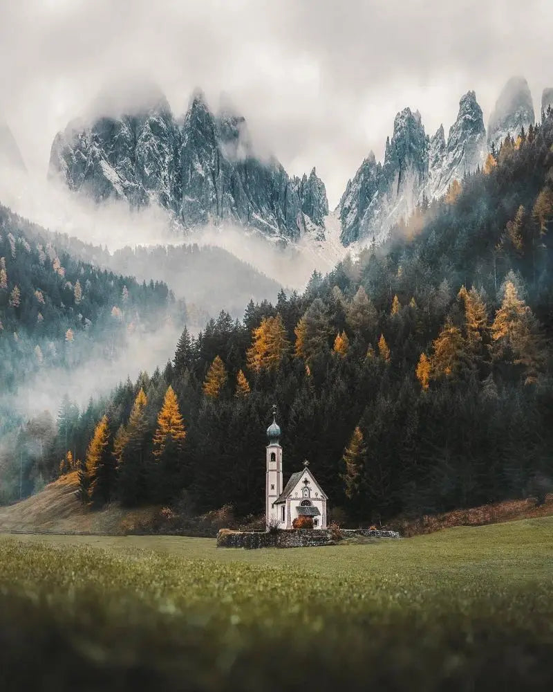 Forest Pattern Glass Films Window Sticker Static Cling Frosted Home Decor Private Tint-Film For Door Window Cabinet Wardrobe