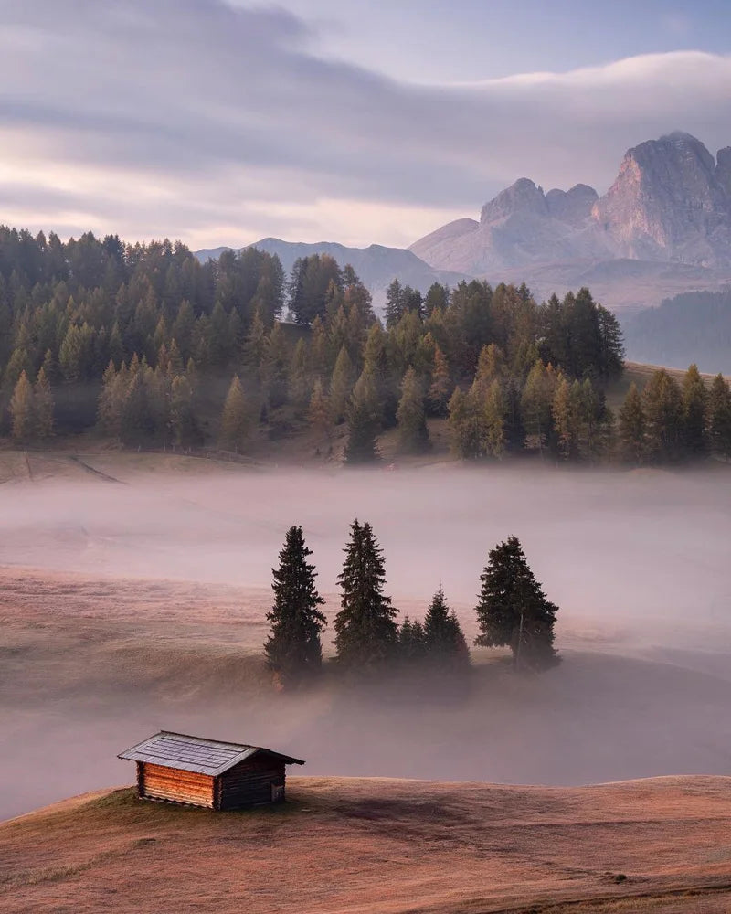 Forest Pattern Glass Films Window Sticker Static Cling Frosted Home Decor Private Tint-Film For Door Window Cabinet Wardrobe