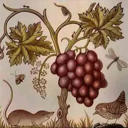 Custom Glass Window Film Static Cling Frosted Retro Glass Films Foil Stickers Waterproof For Bathroom Kitchen Home decor