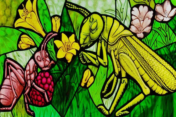 Custom Size Stained Glass Window Film, Transom Frosted Glass Sticker, Kitchen Room Door, Bathroom, Home Decor