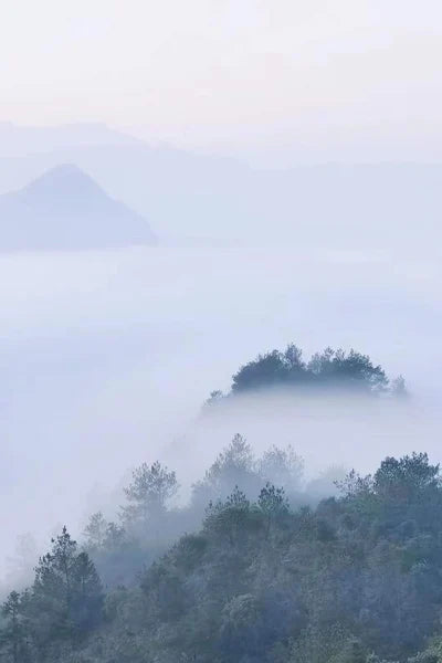 Stained Glass Window Glass Film Frosted Sticker Static Cling,Custom made to fit any Window Size/Shape,Print with Your Photo