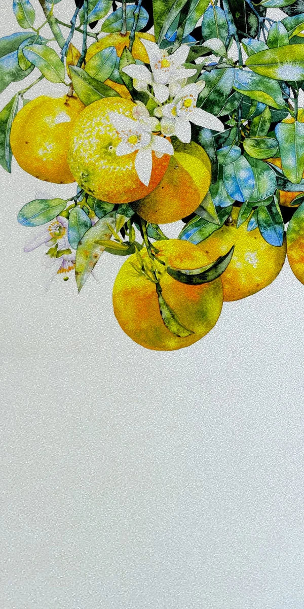 Frosted Stained Glass Window Film, Static Cling, Privacy Films, Flower Door Sticker, Kitchen, Office, Home Decor, Customized