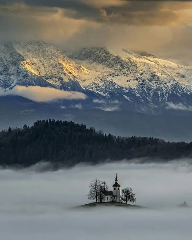 Forest Pattern Glass Films Window Sticker Static Cling Frosted Home Decor Private Tint-Film For Door Window Cabinet Wardrobe