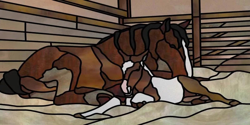 Custom Size Window Film, Stained Glass, Decorative Window Sticker, Privacy Frosted Static Cling, Home Decal