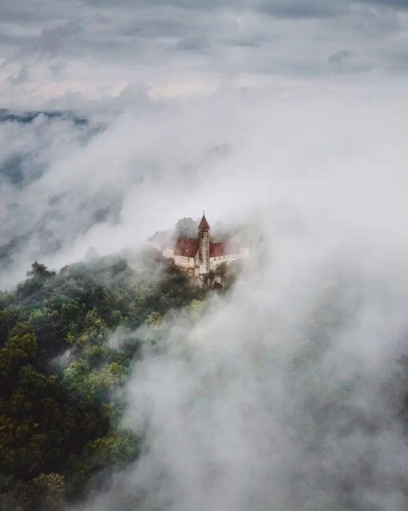 Forest Pattern Glass Films Window Sticker Static Cling Frosted Home Decor Private Tint-Film For Door Window Cabinet Wardrobe