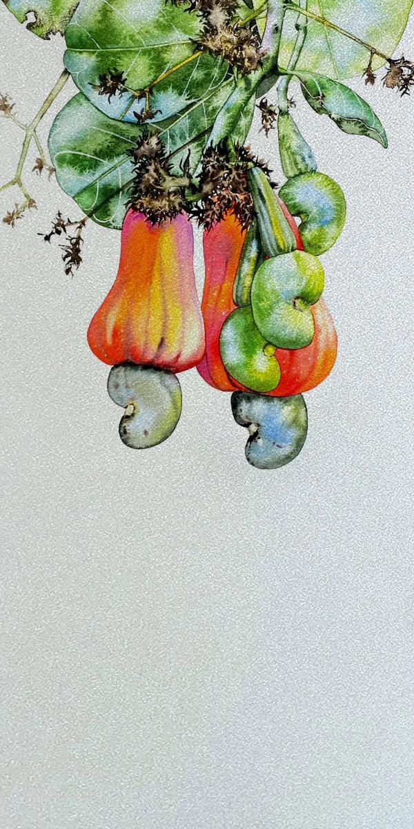 Frosted Stained Glass Window Film, Static Cling, Privacy Films, Flower Door Sticker, Kitchen, Office, Home Decor, Customized