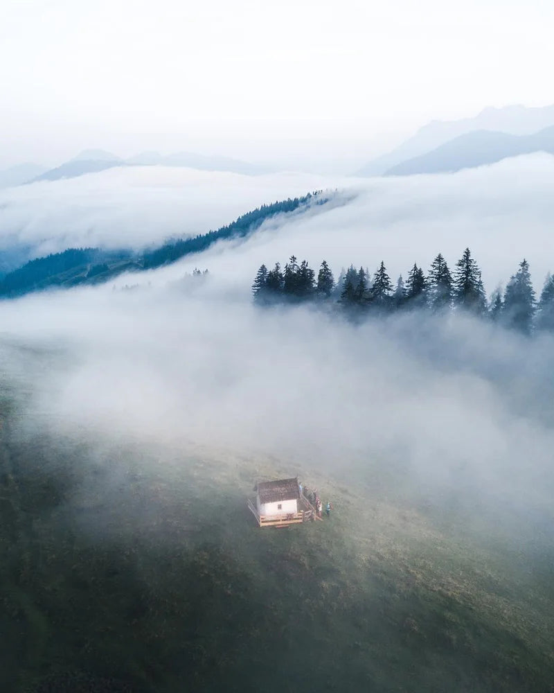 Forest Pattern Glass Films Window Sticker Static Cling Frosted Home Decor Private Tint-Film For Door Window Cabinet Wardrobe