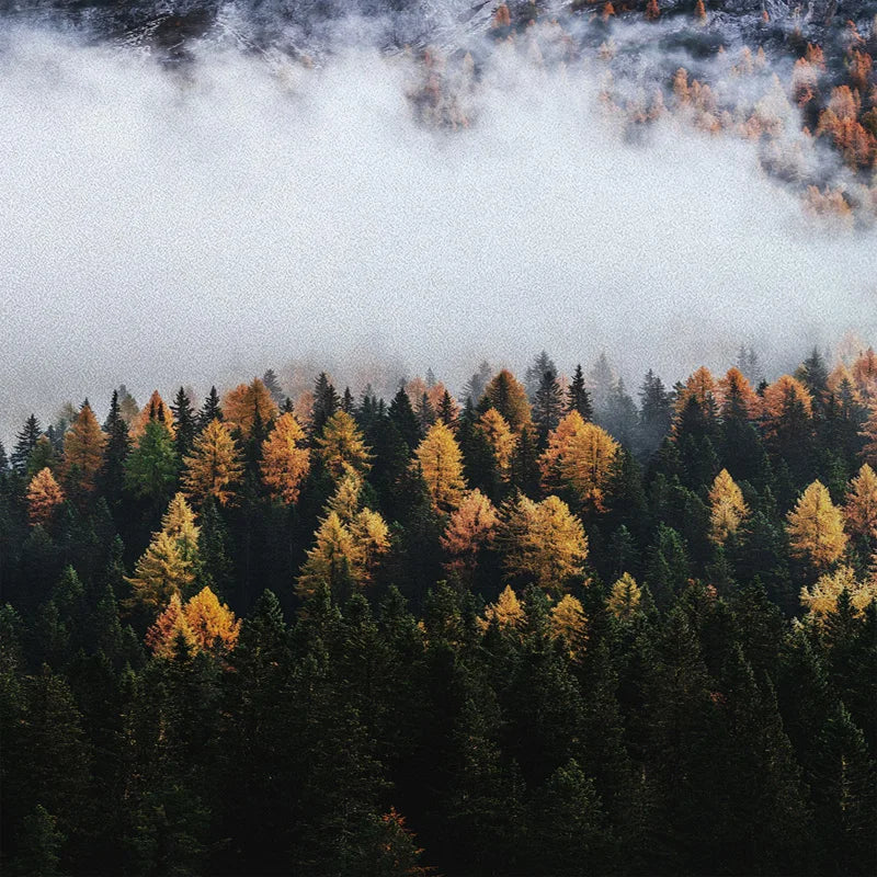 Stained Glass Wndow Films,Frosted Glass Sticker,Static Cling,for Bathroom Kiechen Door Office Home Decor Custom size Mountain