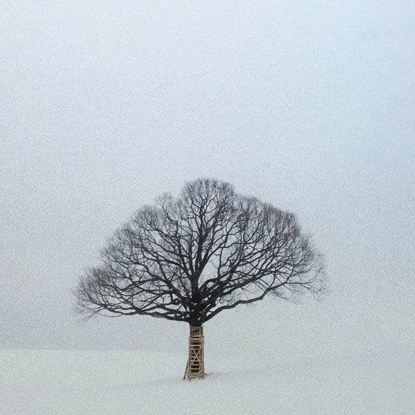 Custom Size Window Glass Films Window Film,Frosted Static Cling, Privacy Opaque,Art Pictures Trees,Shower Nordic Obscure Posters