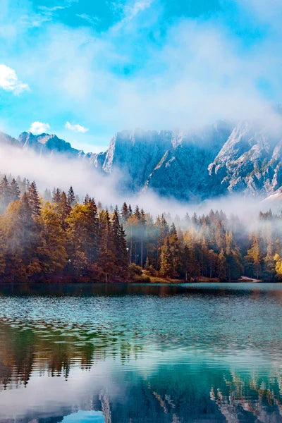 Frosted Stained Glass Window Film, Customized,Scenery,Tree,Waterfall,Static Cling Sticker,Home Decor