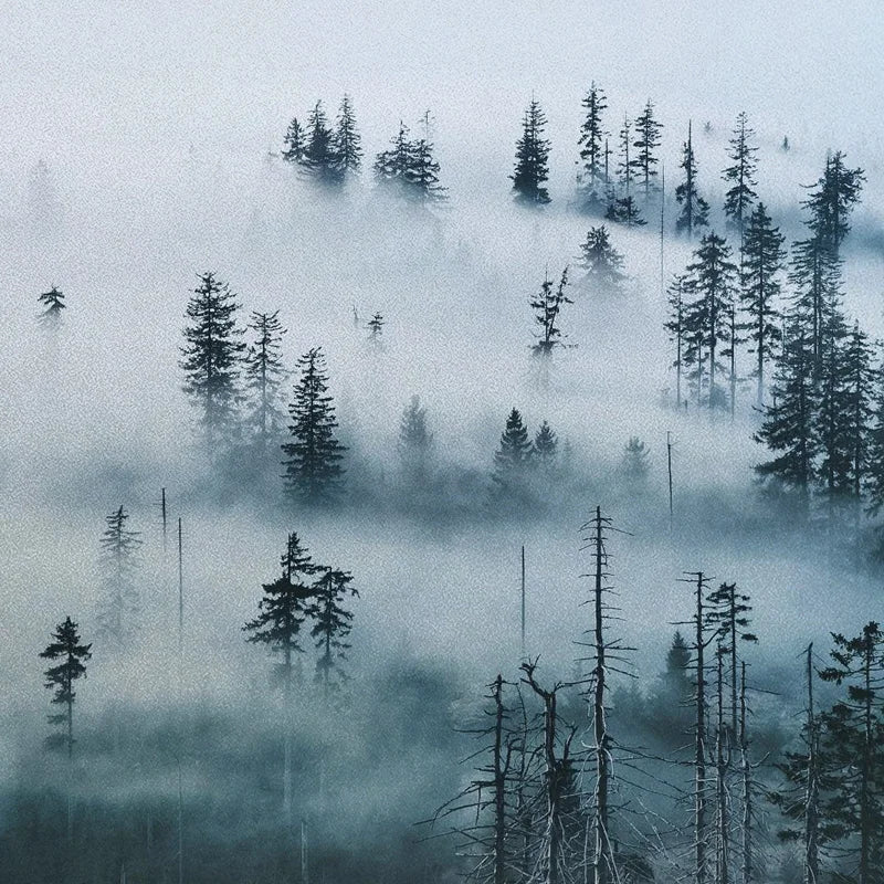 Stained Glass Wndow Films,Frosted Glass Sticker,Static Cling,for Bathroom Kiechen Door Office Home Decor Custom size Mountain