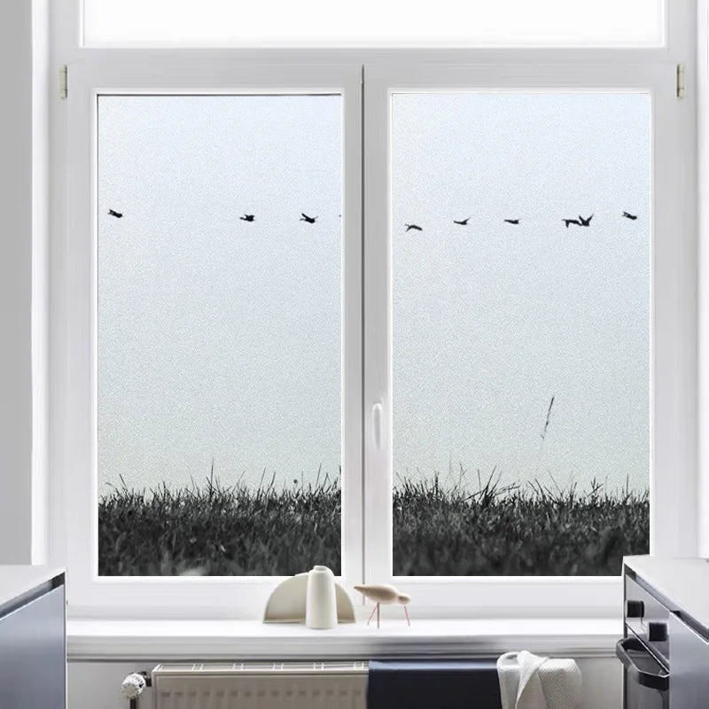 Custom Size Window Glass Films Window Film Static Cling Art Pictures Grass Dancer Shower Nordic Obscure Posters For Door Glass