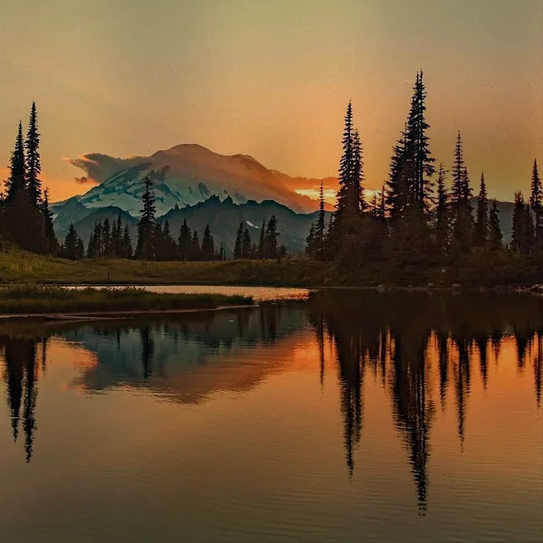 Stained Glass Window Film Frosted Glass Sticker Forest Opaque,Customized Print Mountain For Bathroom Door Office Home Decor